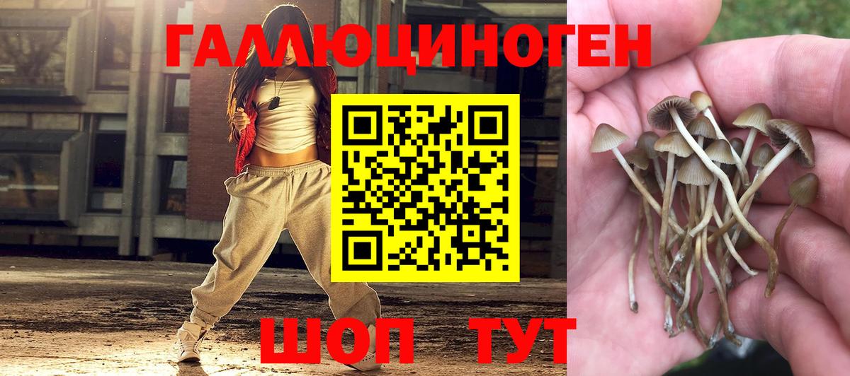 Пугачёв  наркотики  Вход с VPN  Галлюциногенные грибы мухоморы 