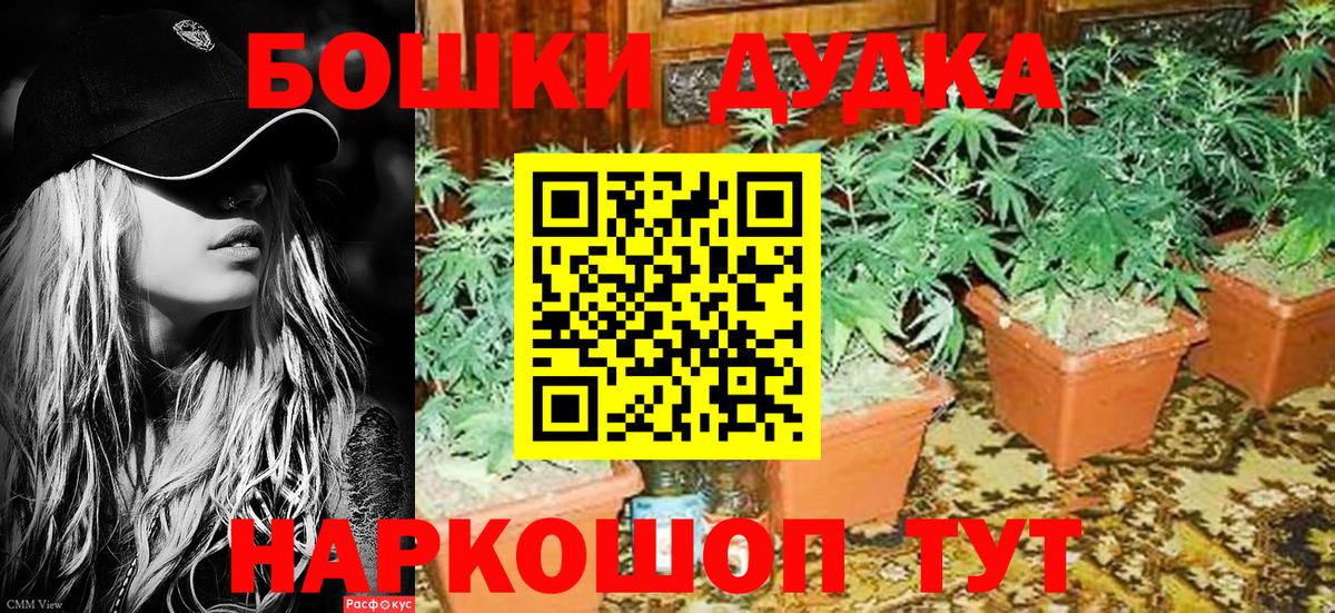 Пугачёв  Марихуана гибрид  Каннабис THC 21%  Вход с VPN  МАРИХУАНА ГИДРОПОН 