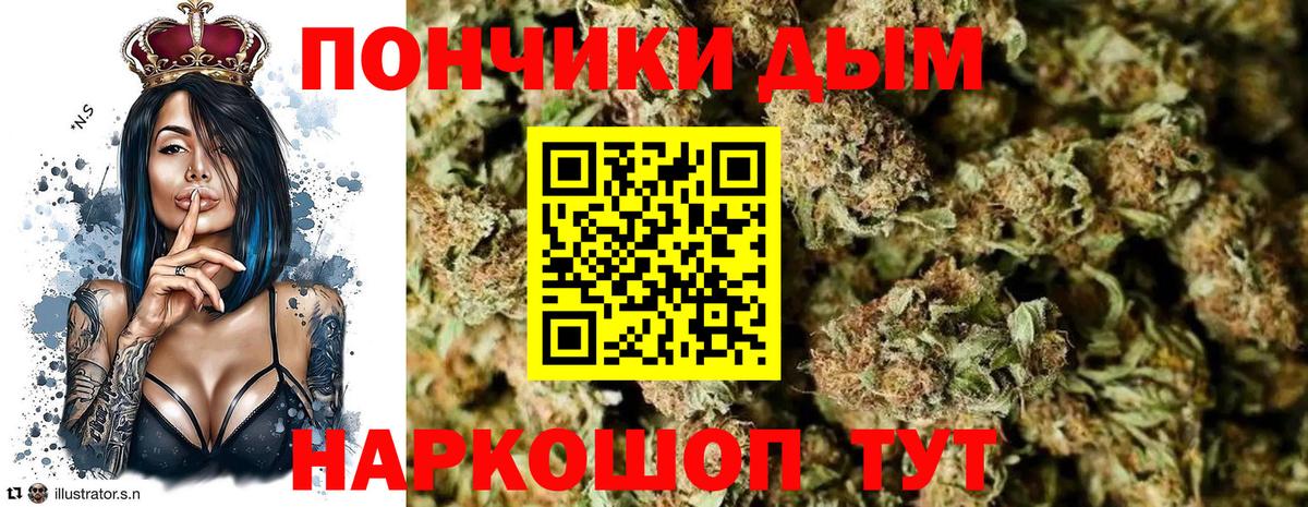 Каннабис сатива Пугачёв